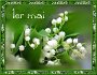 Cerise sur le gâteau...un brin de muguet offert aux vanoscois