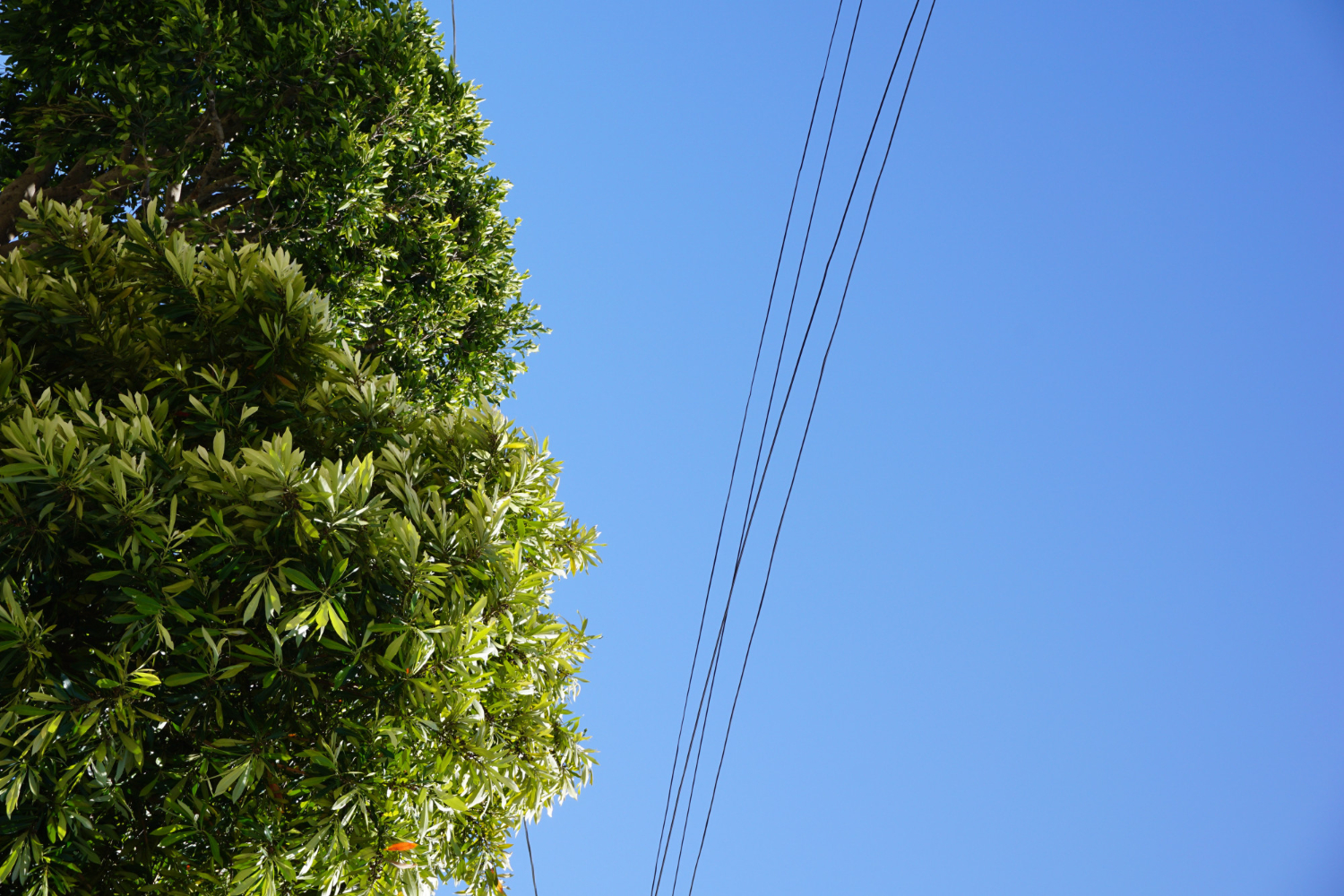 Inspection des lignes électriques jusqu’au 17 avril