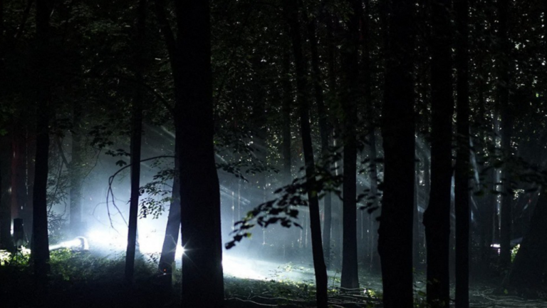 Balade nocturne